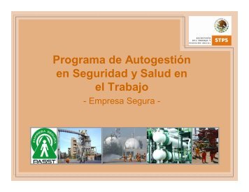 Programa de Autogestión en Seguridad y Salud en el Trabajo