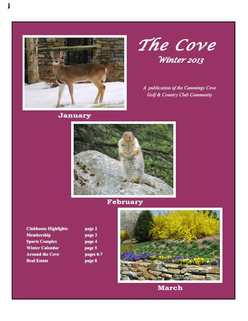 Winter 2013 Newsletter - Cummings Cove Golf & Country Club