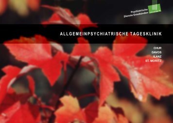 Allgemeinpsychiatrische Tagesklinik (PDF) - PDGR