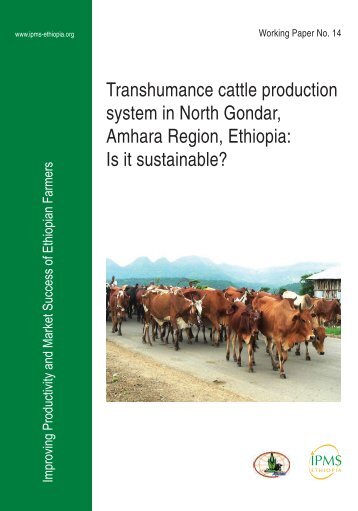 Transhumance cattle production system in North Gondar ... - IPMS