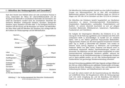 Die Gesundheit des Darms