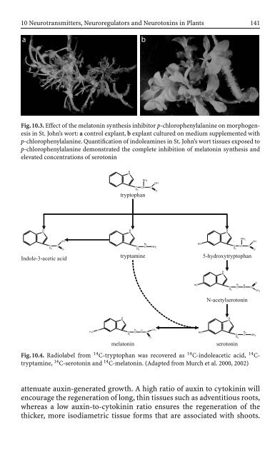 References