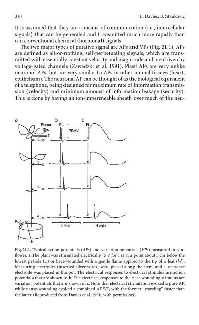 References