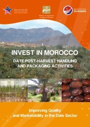 INVEST IN MOROCCO - Millennium Challenge Corporation