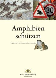 Amphibien schuetzen BW [PDF, 8.97 MB] - Baden-Württemberg