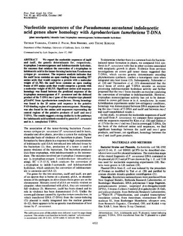 Nucleotide sequences of the Pseudomonas savastanoi indoleacetic ...