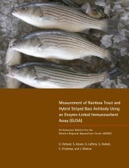 Measurement of Rainbow Trout and Hybrid Striped Bass - School of ...