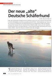 Der neue „alte“ Deutsche Schäferhund - WUFF - online