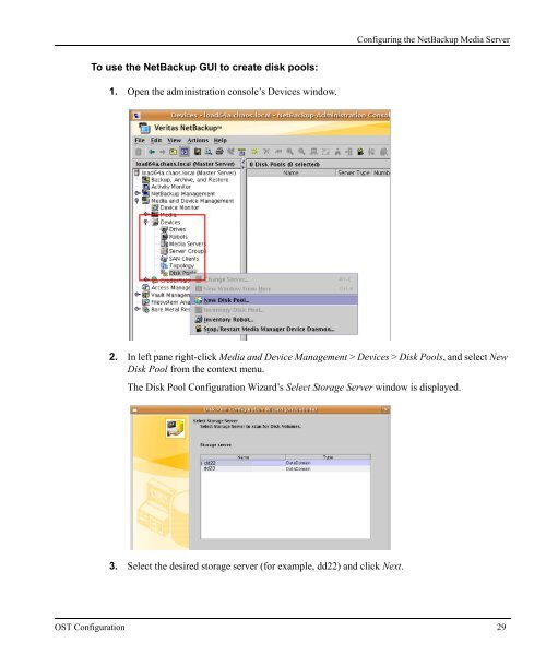 Data Domain OST User Guide - Symantec