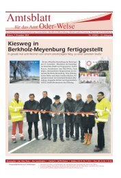 Amtlicher Teil - Amtsblatt vom 07. Dezember 2012 - Amt Oder-Welse