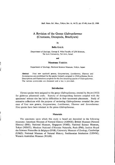 オリジナル Herrn Von Die Uber Bericht Schiffscapitan Reprint 