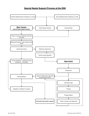 Special Needs Support Process At The DSK Star