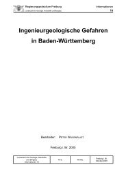 Ingenieurgeologische Gefahren in Baden-Württemberg