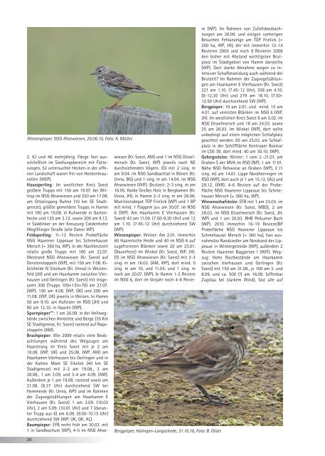 -Jahresbericht 2010 - Ornithologische Arbeitsgemeinschaft Hamm