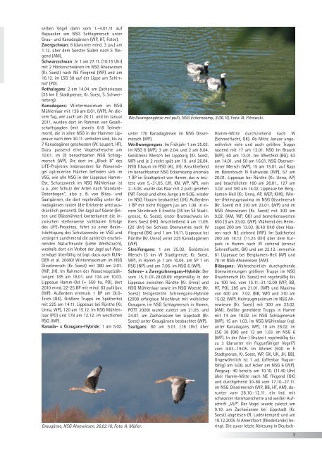 -Jahresbericht 2010 - Ornithologische Arbeitsgemeinschaft Hamm