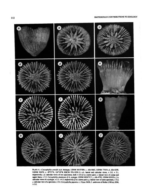 PDF (Hi-Res) - Smithsonian Institution Libraries