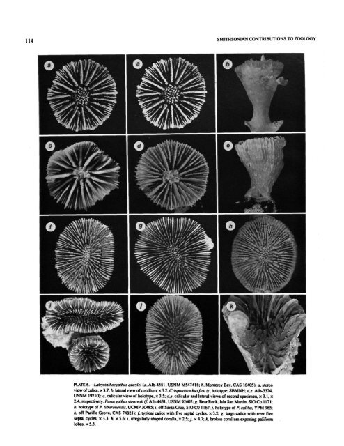 PDF (Hi-Res) - Smithsonian Institution Libraries