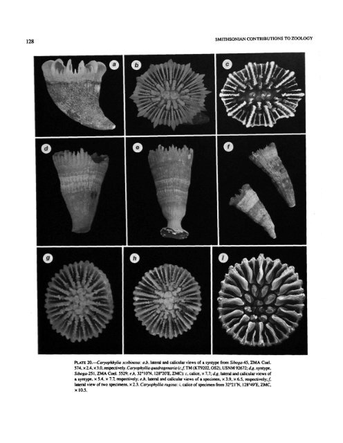 PDF (Hi-Res) - Smithsonian Institution Libraries