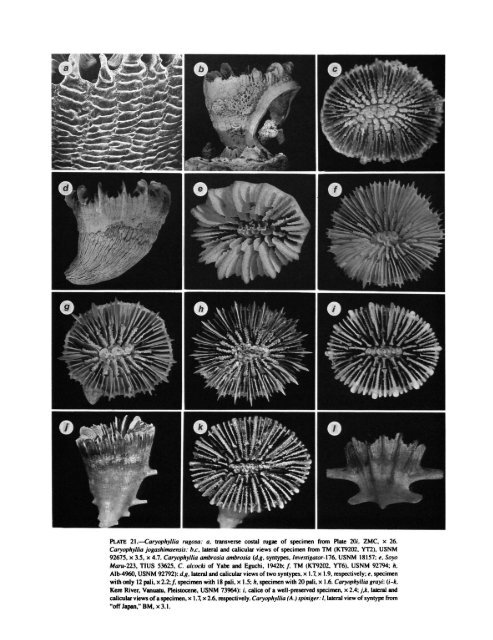 PDF (Hi-Res) - Smithsonian Institution Libraries