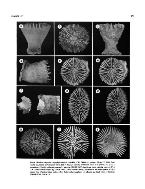 PDF (Hi-Res) - Smithsonian Institution Libraries