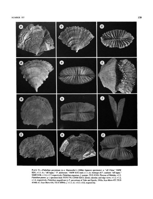 PDF (Hi-Res) - Smithsonian Institution Libraries