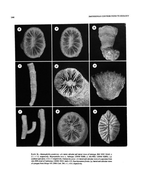 PDF (Hi-Res) - Smithsonian Institution Libraries