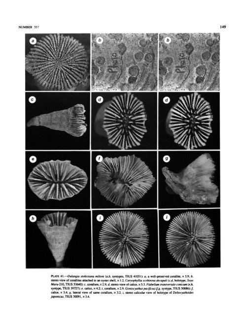 PDF (Hi-Res) - Smithsonian Institution Libraries