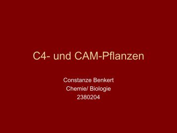 C4- und CAM-Pflanzen - Heidelberg