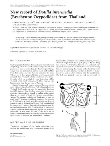 PDF (peer-reviewed publication) - ePrints Soton - University of ...