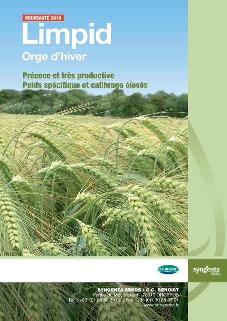 Orge d'hiver - Syngenta