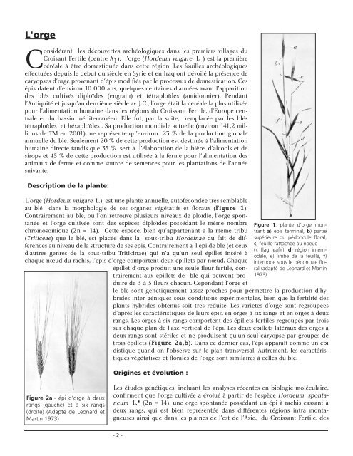 Sommaire du CHAPITRE 8 Orge, avoine, sorgho, millets