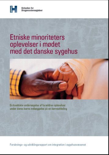 Etniske minoriteters oplevelser i mødet med det danske