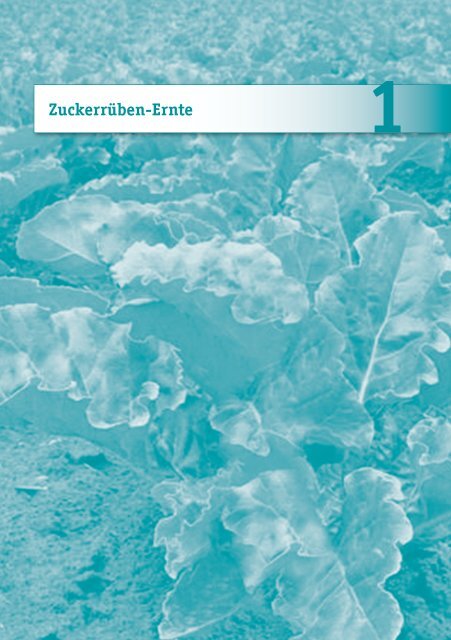 Maschinenkatalog 2012_Kapitel1.pdf - Frankenrueben.de