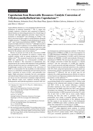 Caprolactam from Renewable Resources: Catalytic Conversion of ...