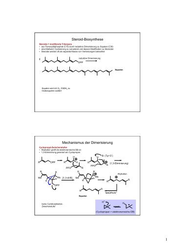 Steroid-Biosynthese Mechanismus der Dimerisierung