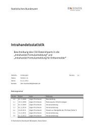 Intrahandelsstatistik; Beschreibung des IDEV CSV-Datenimports