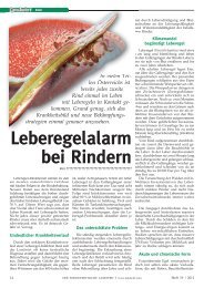 len Österreichs ist bereits jedes zweite Rind einmal im Leben mit