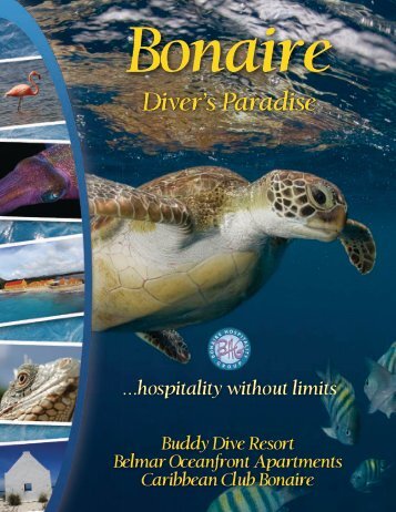 Diver's Paradise - Buddy Dive Resort