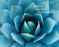 Mexico, Central & South America - Andrew Harper
