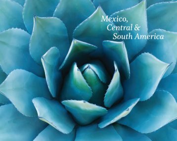 Mexico, Central & South America - Andrew Harper