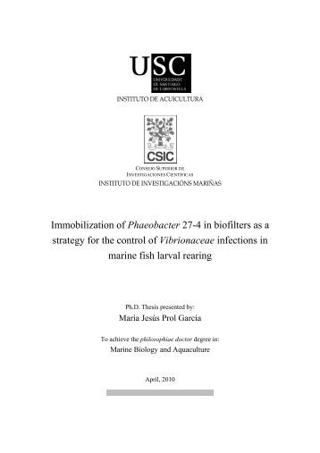 Phd thesis pdf