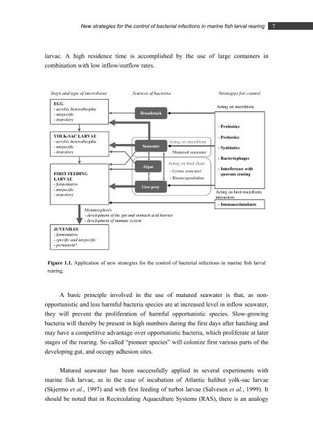 PhD Thesis MJProl .pdf - digital-csic Digital CSIC - Consejo Superior ...