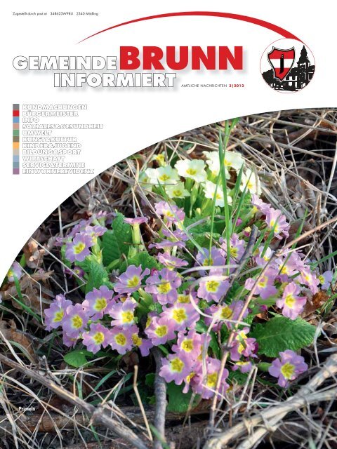 Gemeindezeitung 3/2012 - Brunn am Gebirge