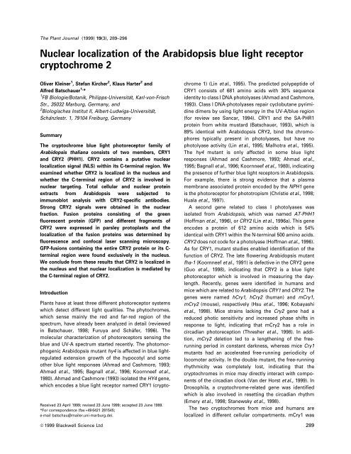 Nuclear localization of the Arabidopsis blue light receptor ...