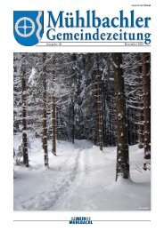 (2,64 MB) - .PDF - Mühlbachl - Land Tirol
