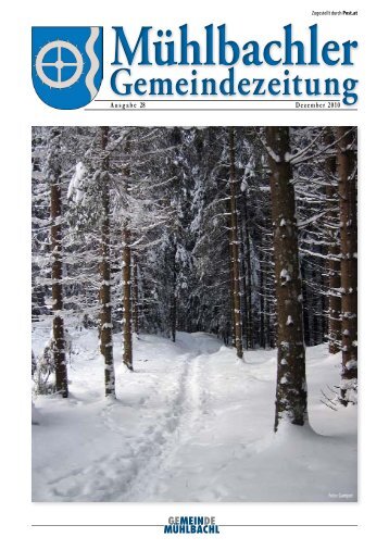 (2,64 MB) - .PDF - Mühlbachl - Land Tirol