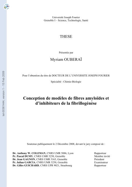 Conception De Modeles De Fibres Amyloides Et D Inhibiteurs De La