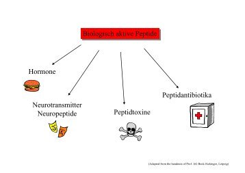 Biologisch aktive Peptide Biologisch aktive Peptide Hormone