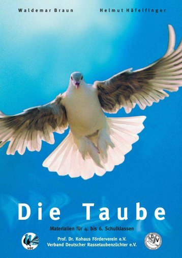 Die Taube - Dr. Kohaus
