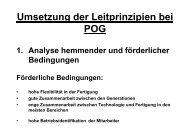 11_Leitprinzipien POG.pdf